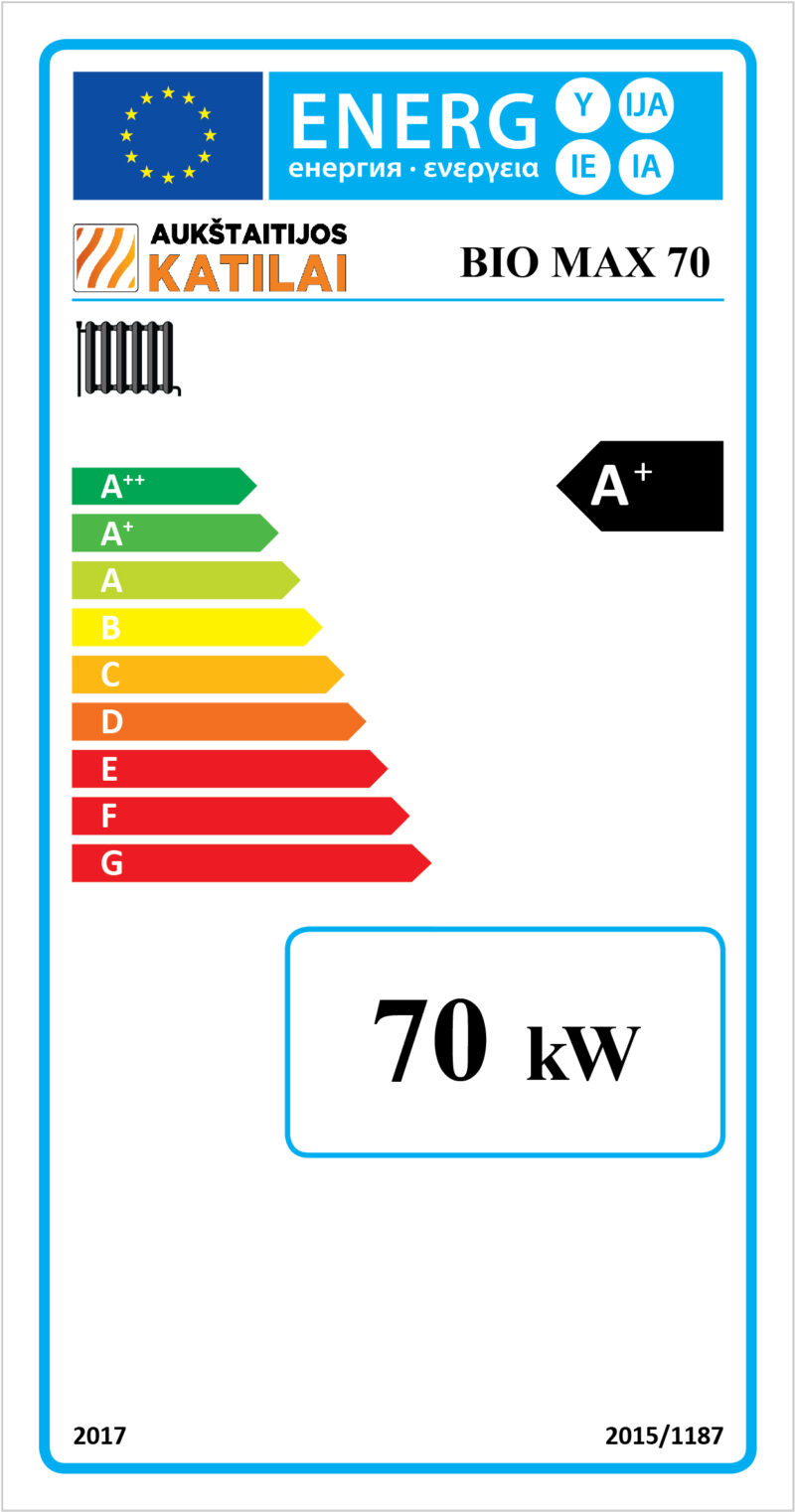 Kieto kuro katilas BIO MAX, 70 kW