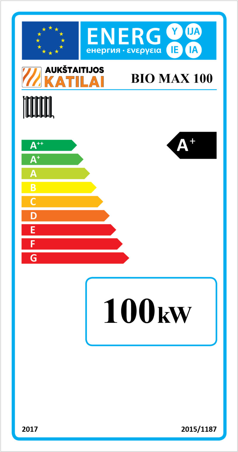 Kieto kuro katilas BIO MAX, 100 kW