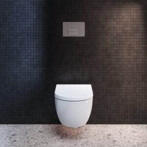 Ideal Standard WC klavišas Oleas M1 potinkiniam WC rėmui, baltas